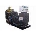 12months warranty!!! air cooled electric generator with the latest price